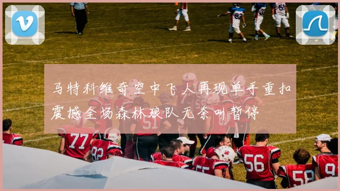 马特科维奇空中飞人再现单手重扣震撼全场森林狼队无奈叫暂停