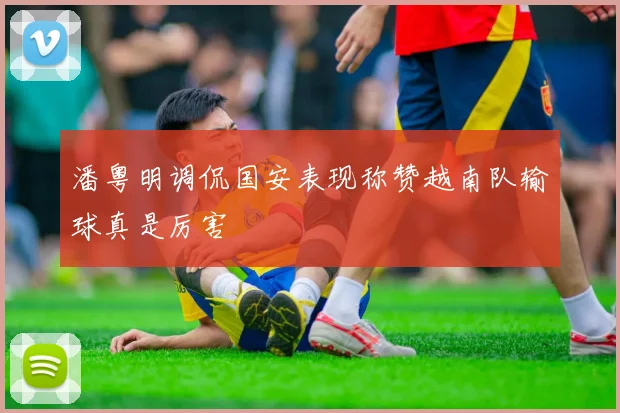 潘粤明调侃国安表现称赞越南队输球真是厉害